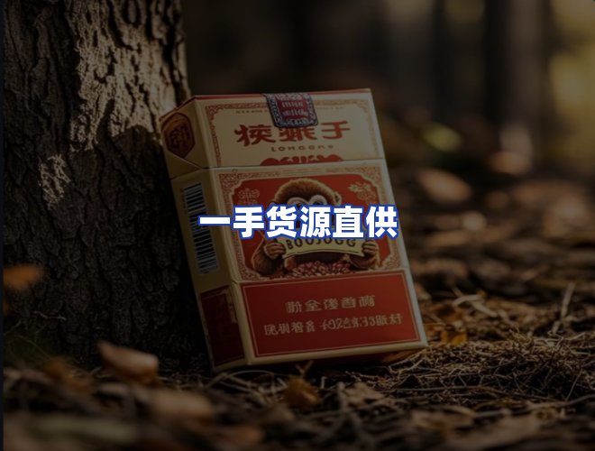 专业团队